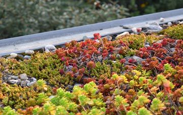 the cost of Soake green roof installation