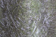 Soake fibreglass roof work